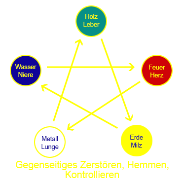 Durch krankhaft starke Kontrolle wird das kontrollierte Organ zu schwach oder krank