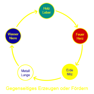 Normales, gesundes gegenseitiges Erzeugen oder Fördern